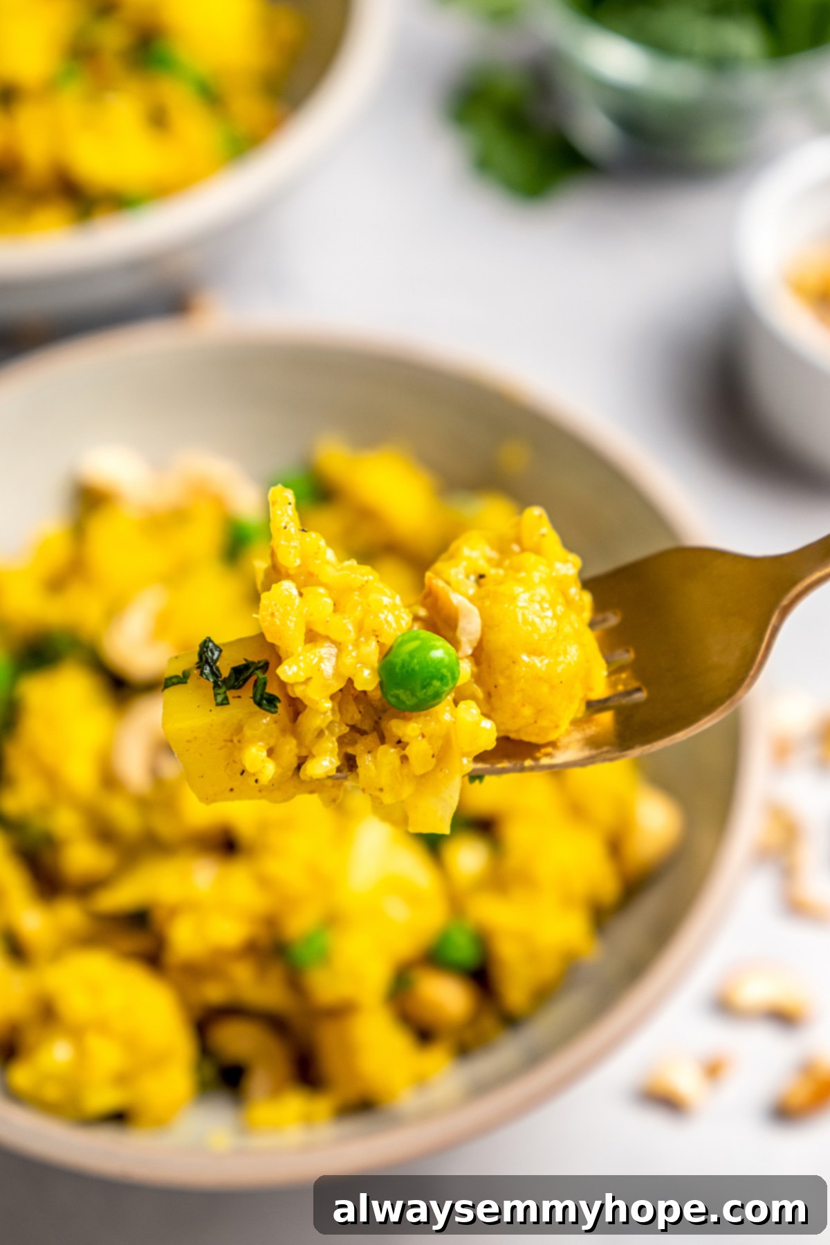 Close-up of Forkful of Vegan Vegetable Biryani A fork holding a portion of vegan vegetable biryani over a full bowl.