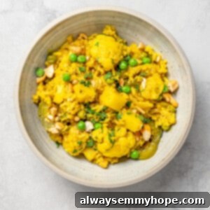 Spiced Vegetable Biryani Delight 2 Overhead view of vegetable biryani in bowl