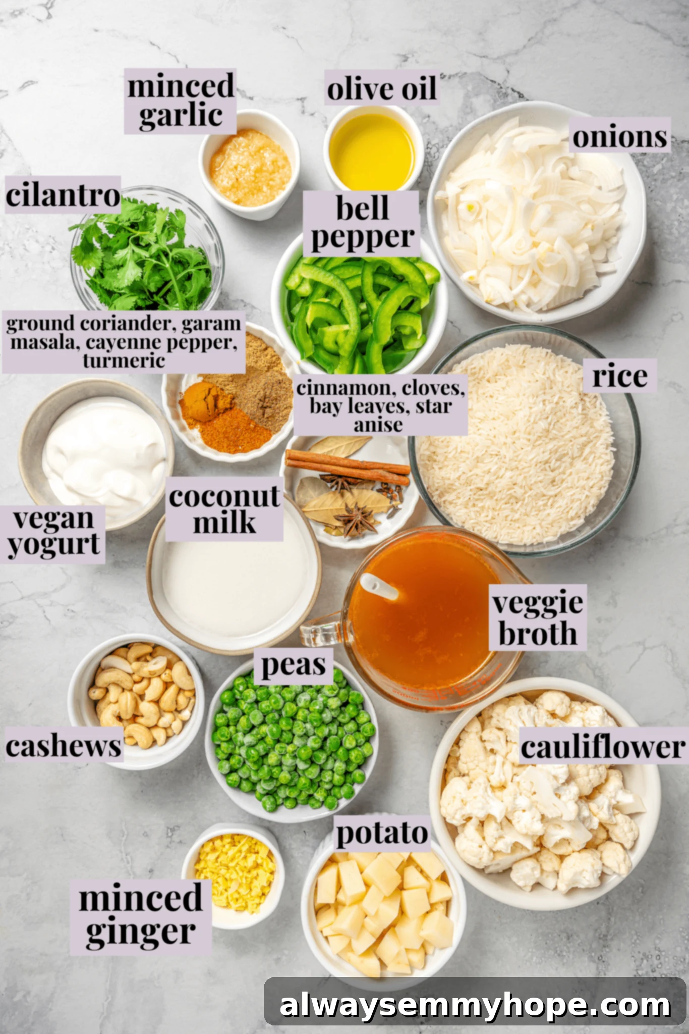 Vegan Vegetable Biryani Ingredients: Fresh Spices, Aromatic Herbs, and Colorful Veggies Assorted fresh ingredients for vegan vegetable biryani, including various vegetables, spices, and rice, laid out on a surface.