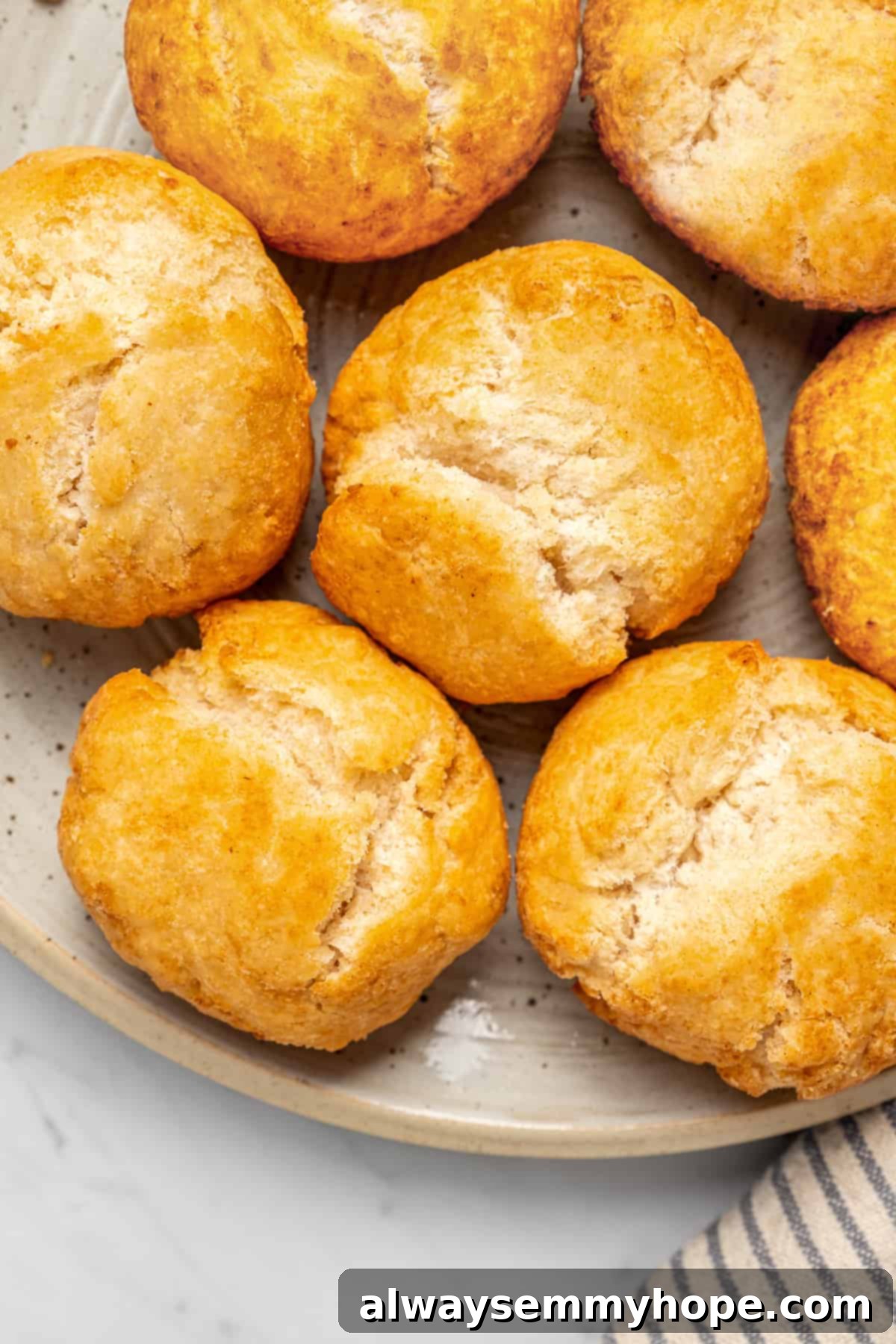 Overhead view of vegan Jamaican fried dumplings on plate