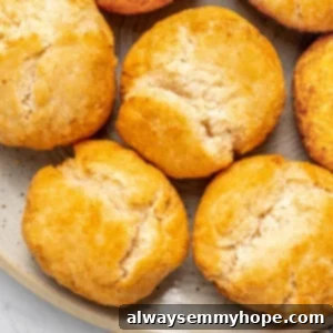 Overhead view of vegan Jamaican fried dumplings on plate