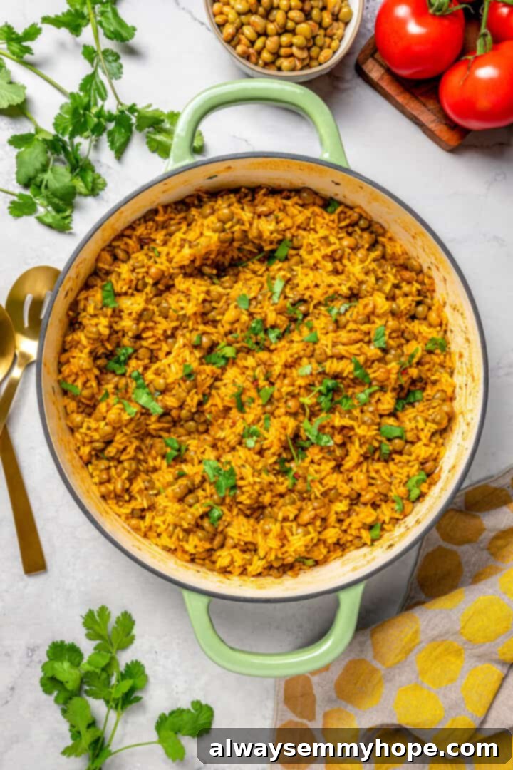 Overhead view of the finished vegan Puerto Rican rice and beans simmering gently in an enamel cast iron pot, showcasing its vibrant color and texture.