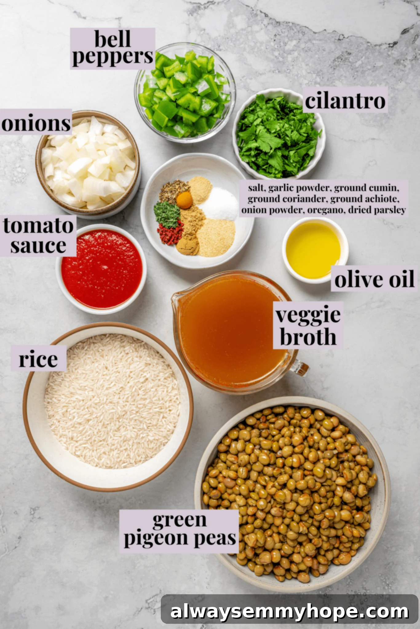 Overhead view of various ingredients for vegan Puerto Rican rice and beans, neatly arranged and labeled on a wooden surface.