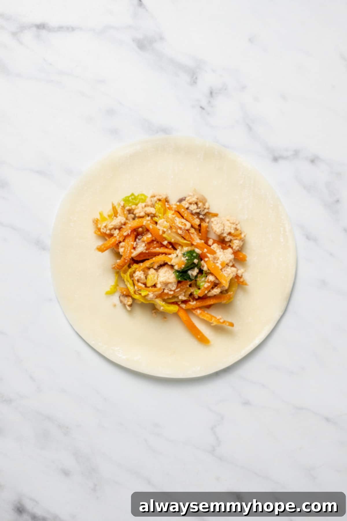Overhead view of round dumpling wrapper with filling in centre