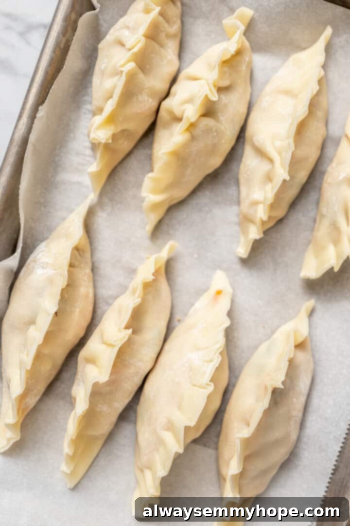 Overhead view of uncooked dumplings on parchment-lined baking sheet