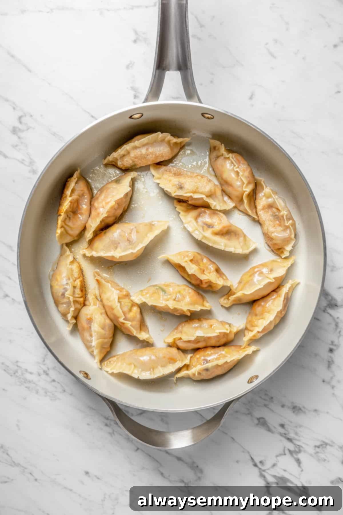 Overhead view of vegan dumplings in skillet