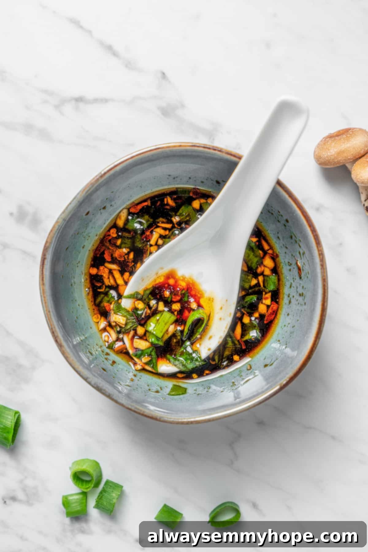 Overhead view of dipping sauce in bowl with spoon