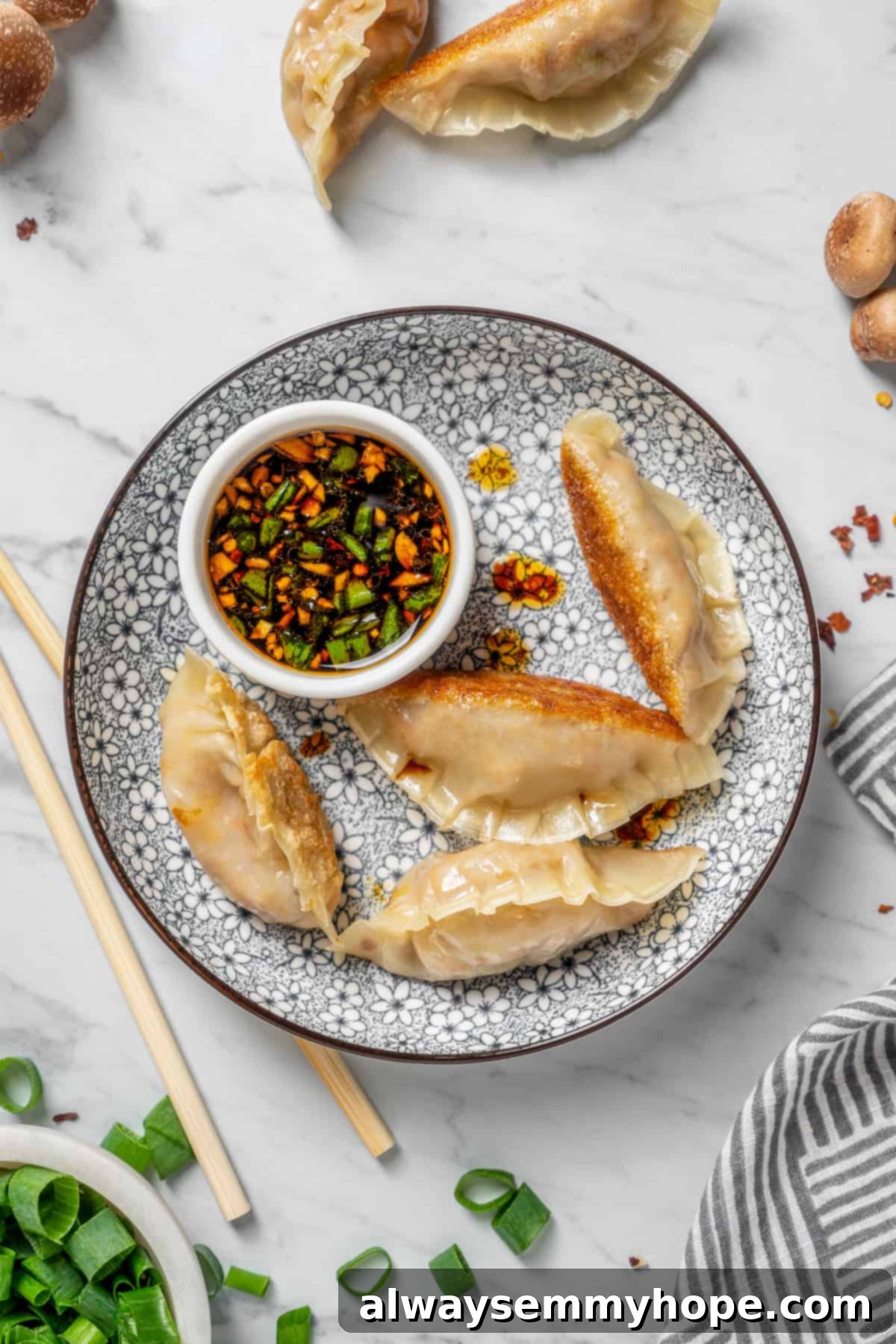 Overhead view of vegan dumplings on plate with dipping sauce