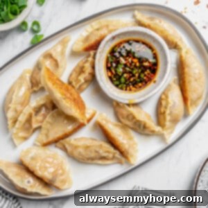 Overhead view of vegan dumplings on platter with bowl of dipping sauce