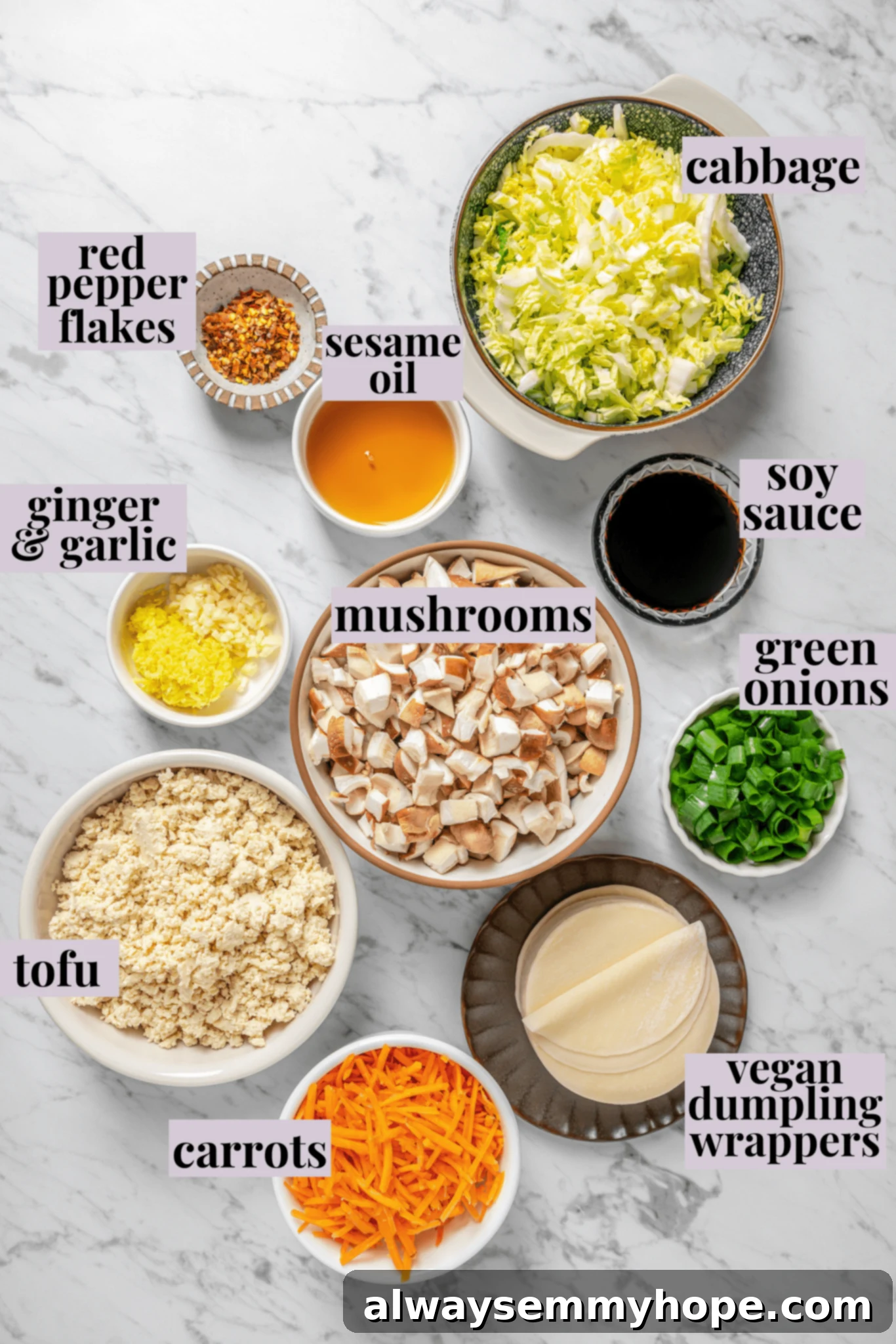 Overhead view of ingredients for vegan dumplings