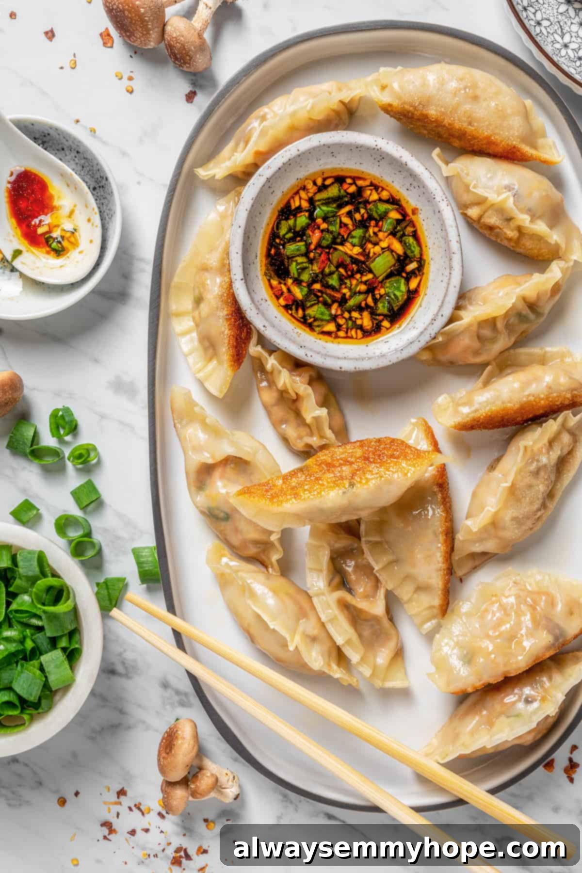 Overhead view of vegan dumplings on platter with bowl of dipping sauce