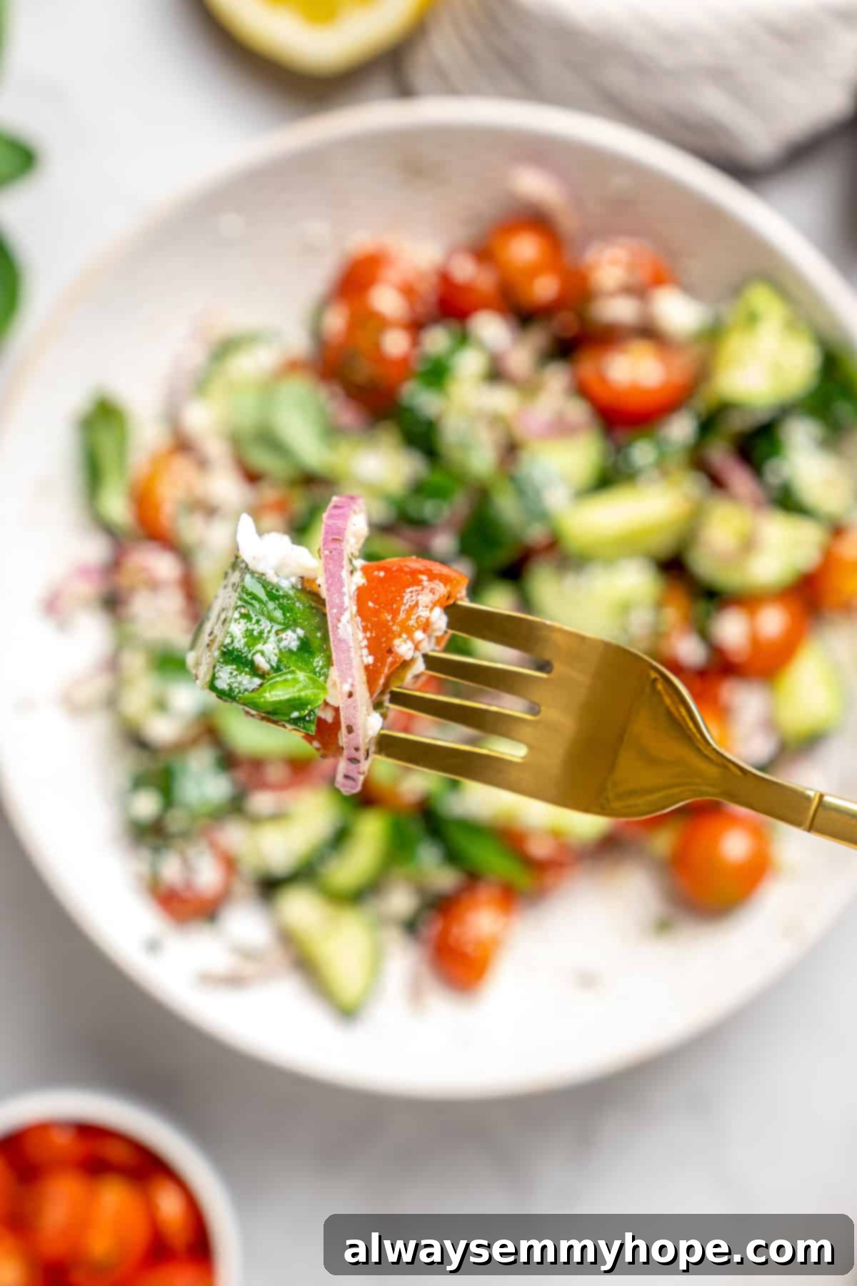 Crisp cucumbers and sun-ripened tomatoes are tossed in a simple vinaigrette for a refreshing, flavourful vegan cucumber and tomato salad. A single fork holds a piece of cucumber and a cherry tomato from the vegan cucumber and tomato salad, poised above a bowl of the salad.