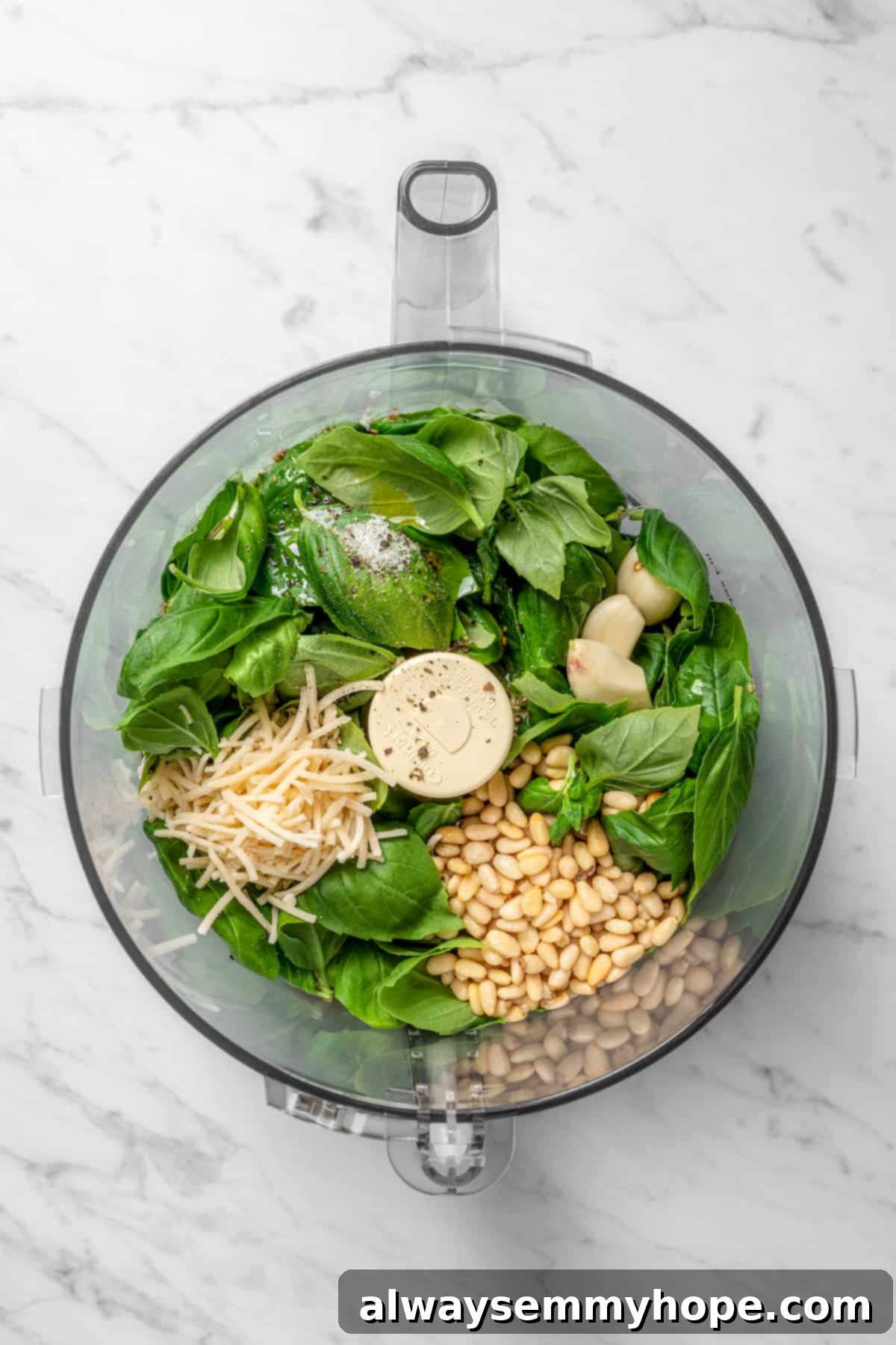 Overhead view of pesto ingredients in food processor