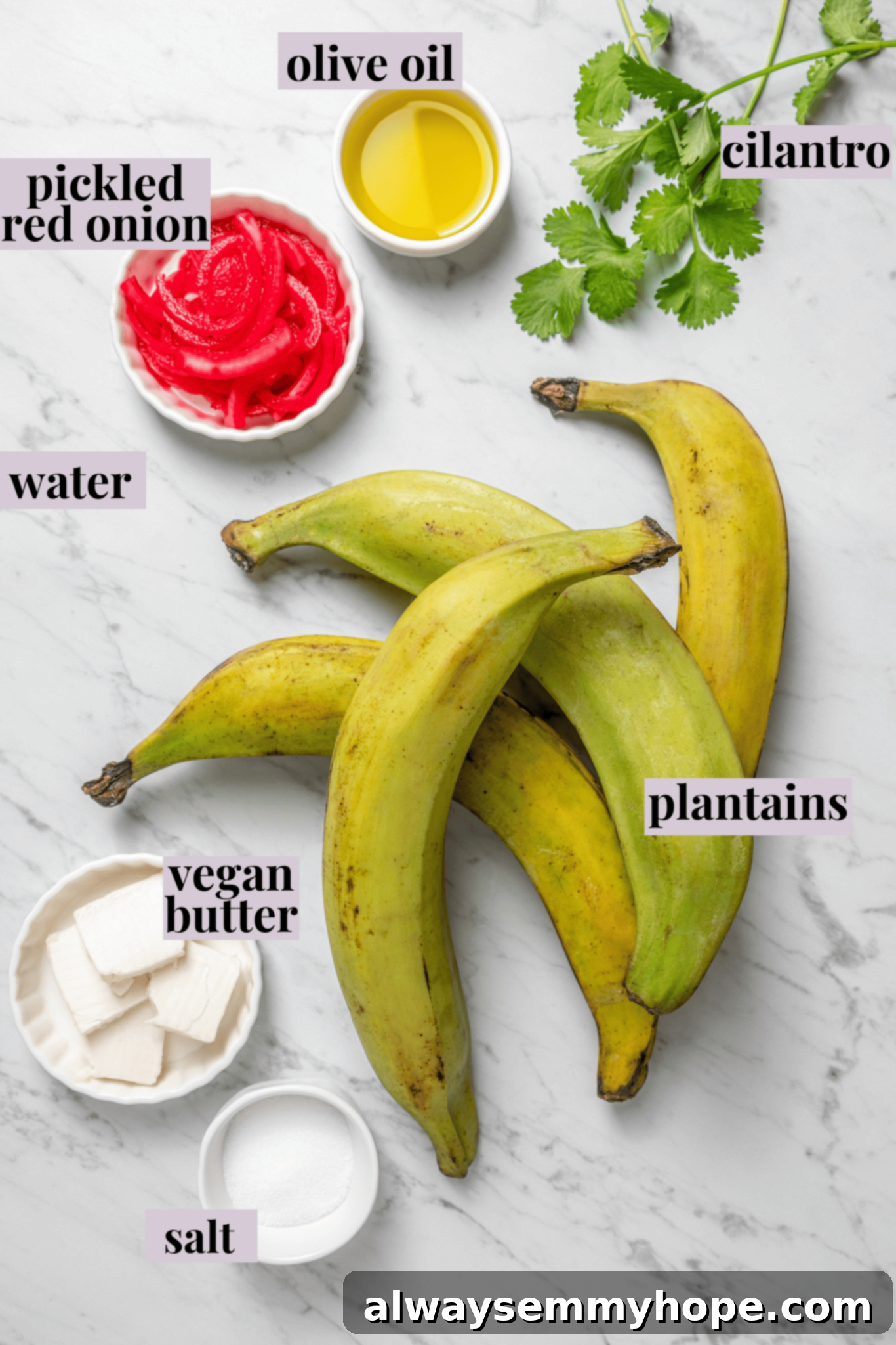 Overhead view of the essential ingredients for making vegan mangú, clearly labeled for easy preparation: green plantains, salt, vegan butter, and pickled red onions.