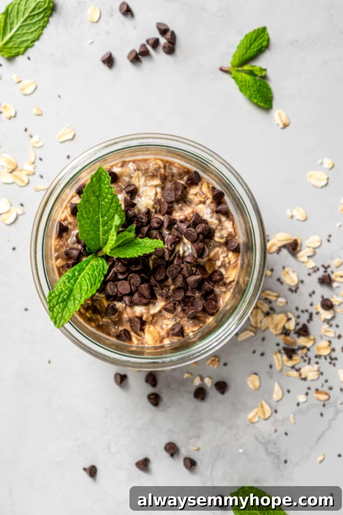 Fuel Your Day: Easy & Delicious Vegan High-Protein Overnight Oats (4 Flavors!) Overhead view of chocolate mint overnight oats