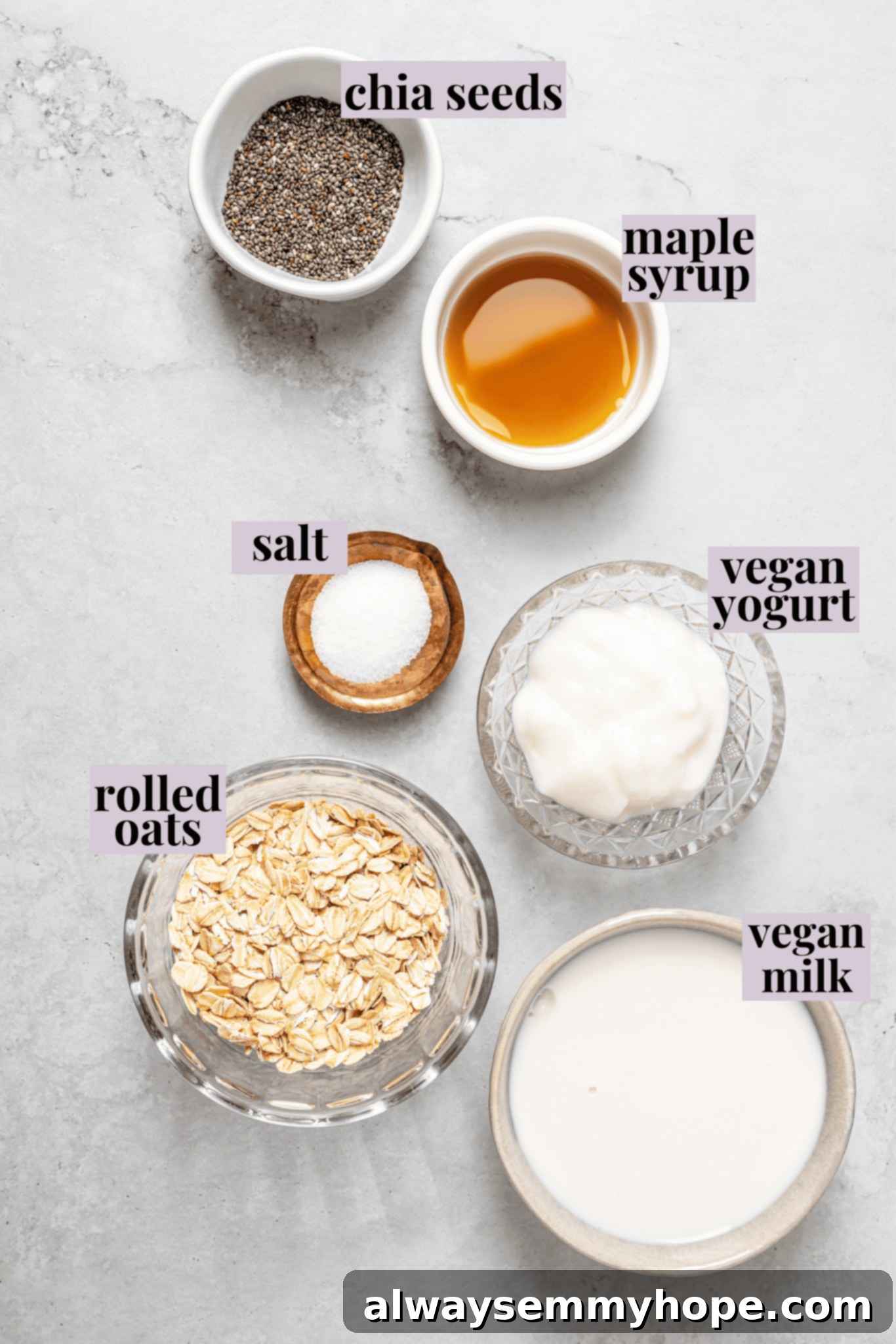 Fuel Your Day: Easy & Delicious Vegan High-Protein Overnight Oats (4 Flavors!) Overhead view of ingredients for vegan high-protein overnight oats