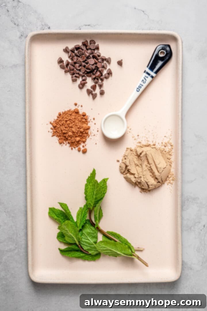 Fuel Your Day: Easy & Delicious Vegan High-Protein Overnight Oats (4 Flavors!) Overhead view of ingredients for chocolate mint high-protein overnight oats