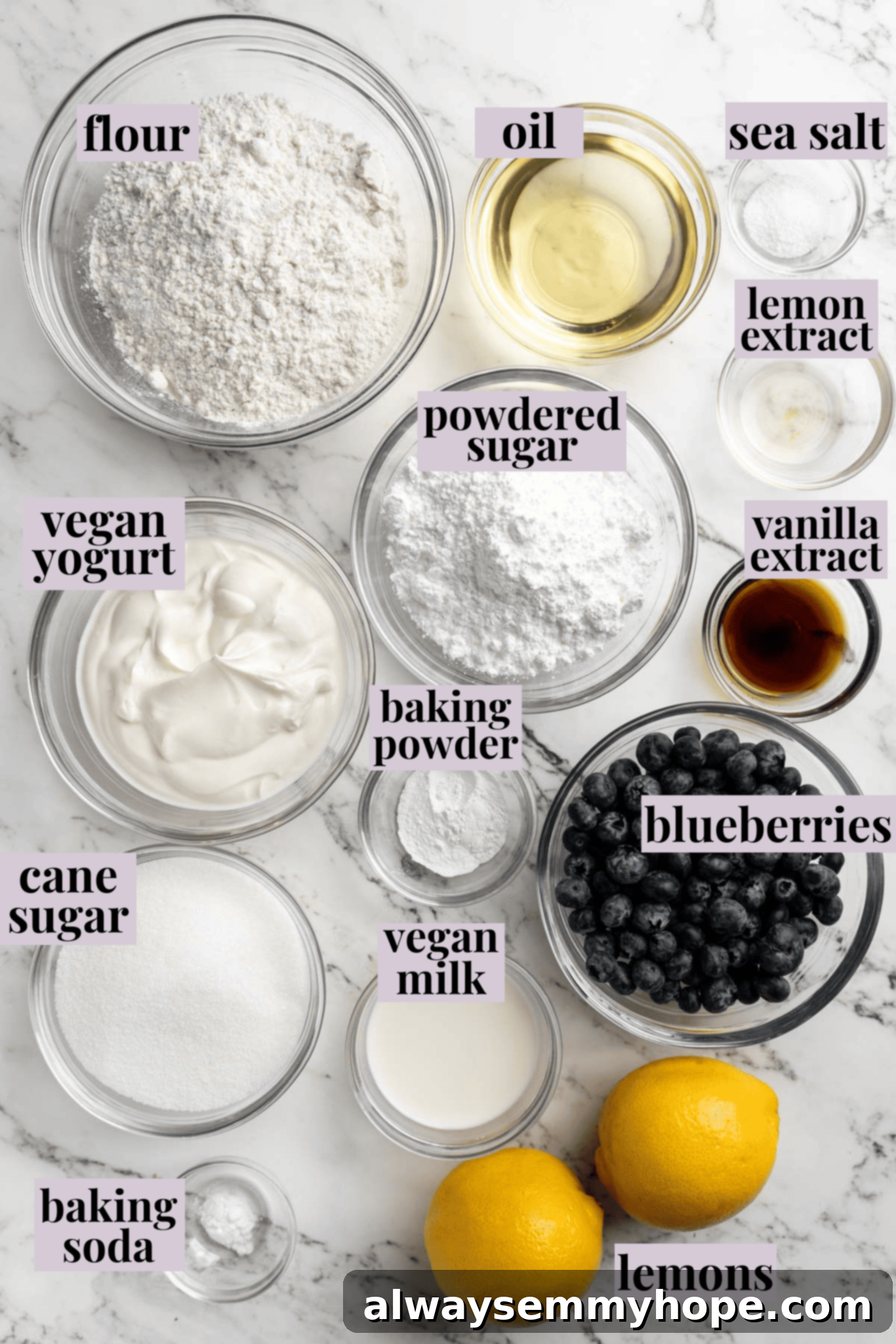Overhead view of all ingredients for vegan lemon blueberry bread laid out with labels.