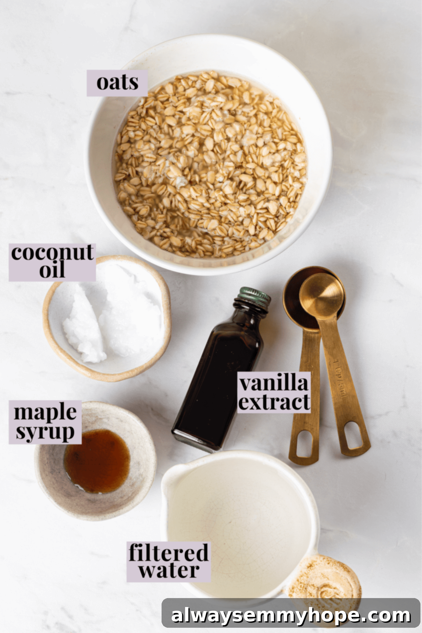 Overhead view of fresh ingredients for oat milk creamer, including oats, coconut oil, water, vanilla, and maple syrup, neatly laid out with labels.