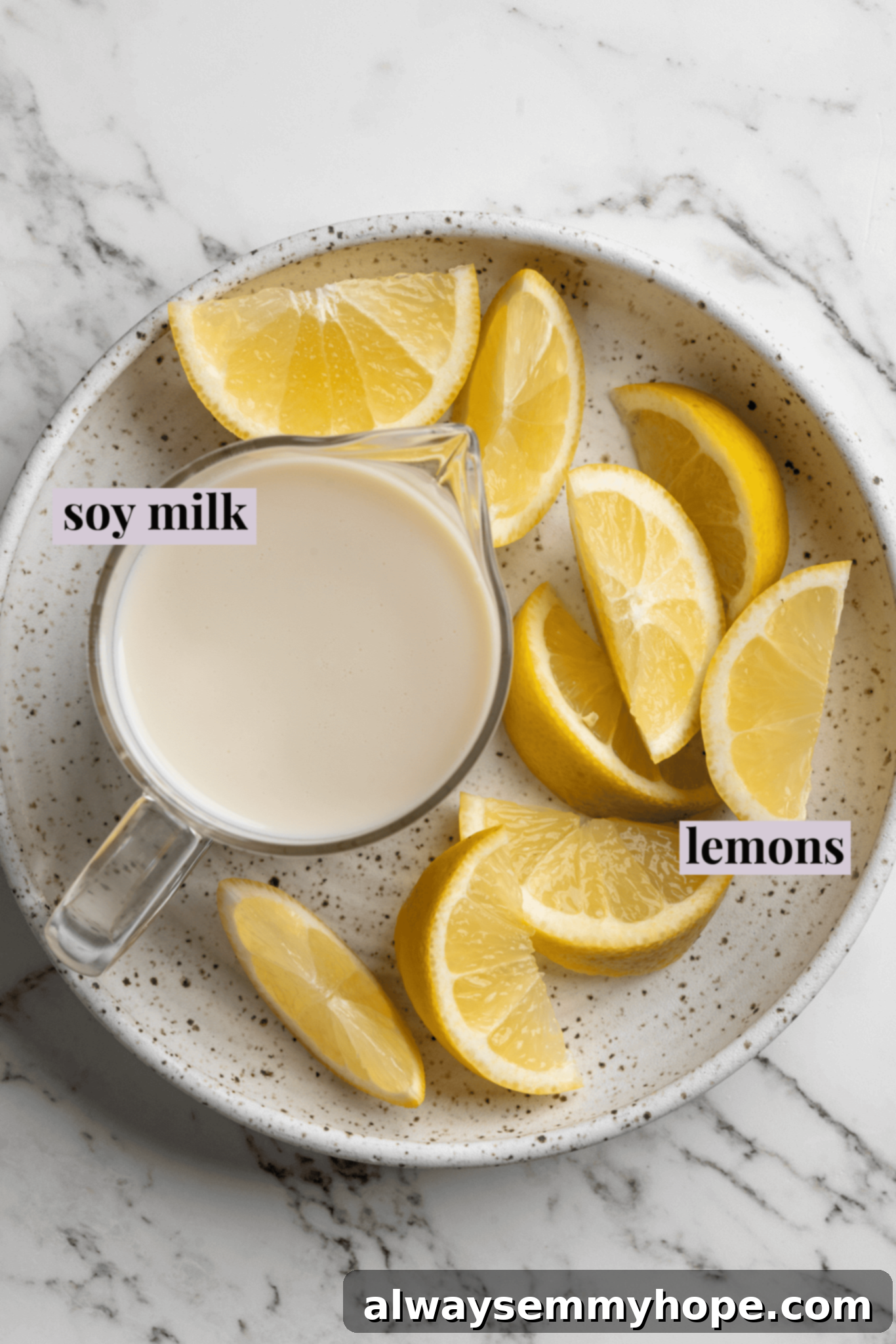 Only two essential ingredients for making the best vegan buttermilk at home! Overhead view of a glass of creamy soy milk alongside fresh lemon wedges on a rustic plate, highlighting the simple ingredients.