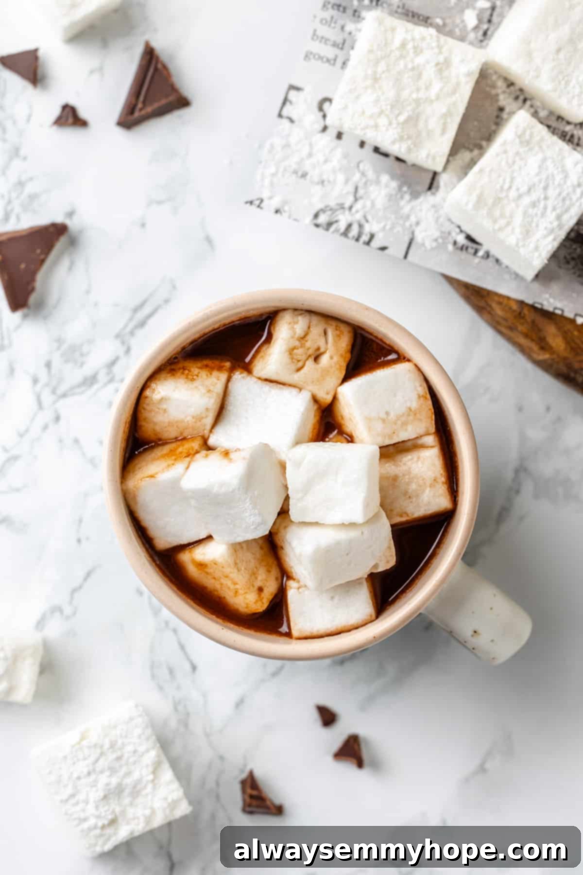 Overhead view of hot chocolate in mug with vegan marshmallows