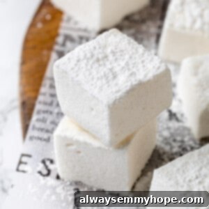 Two stacked vegan marshmallows