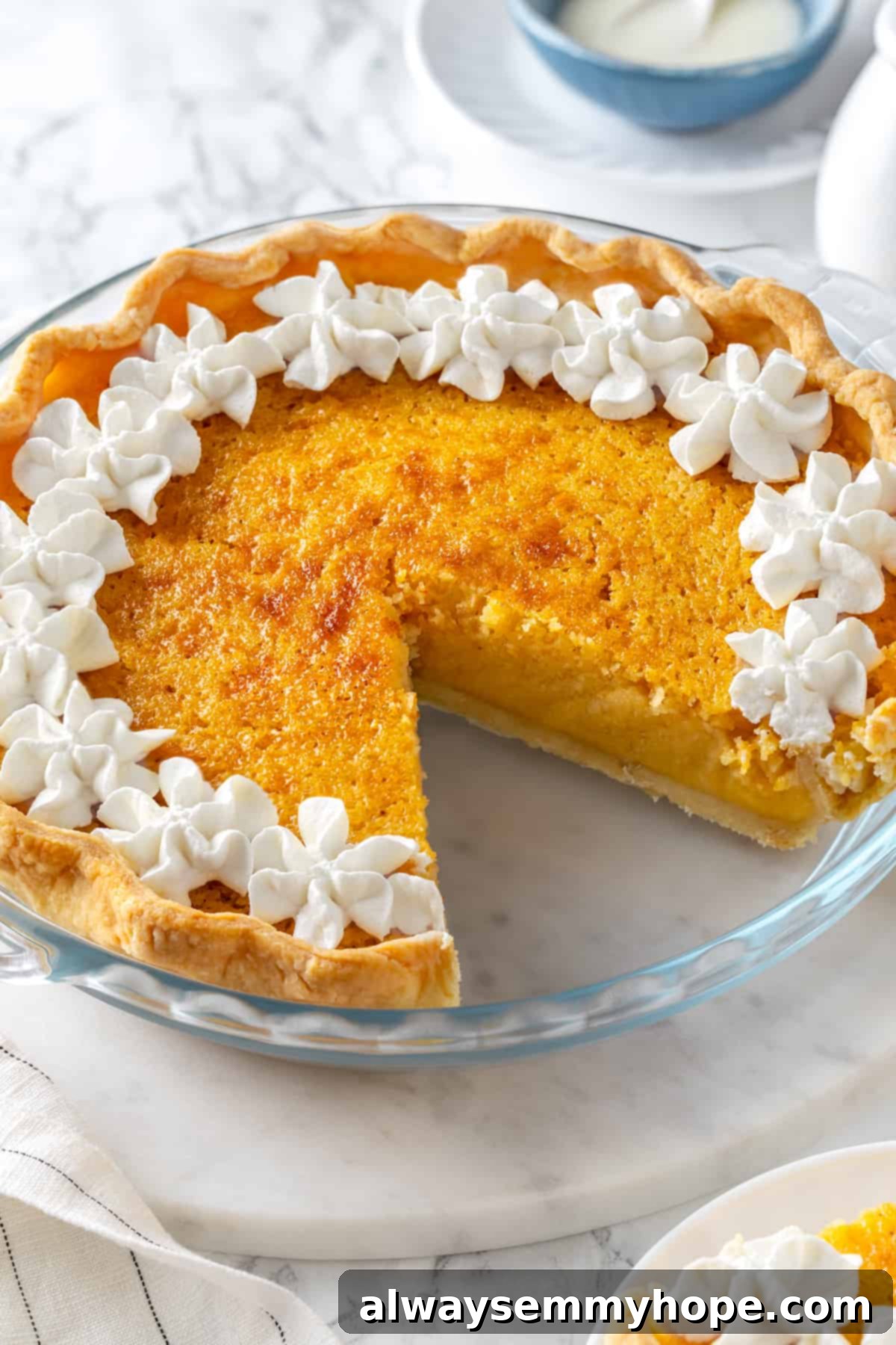Buttermilk pie with slice removed