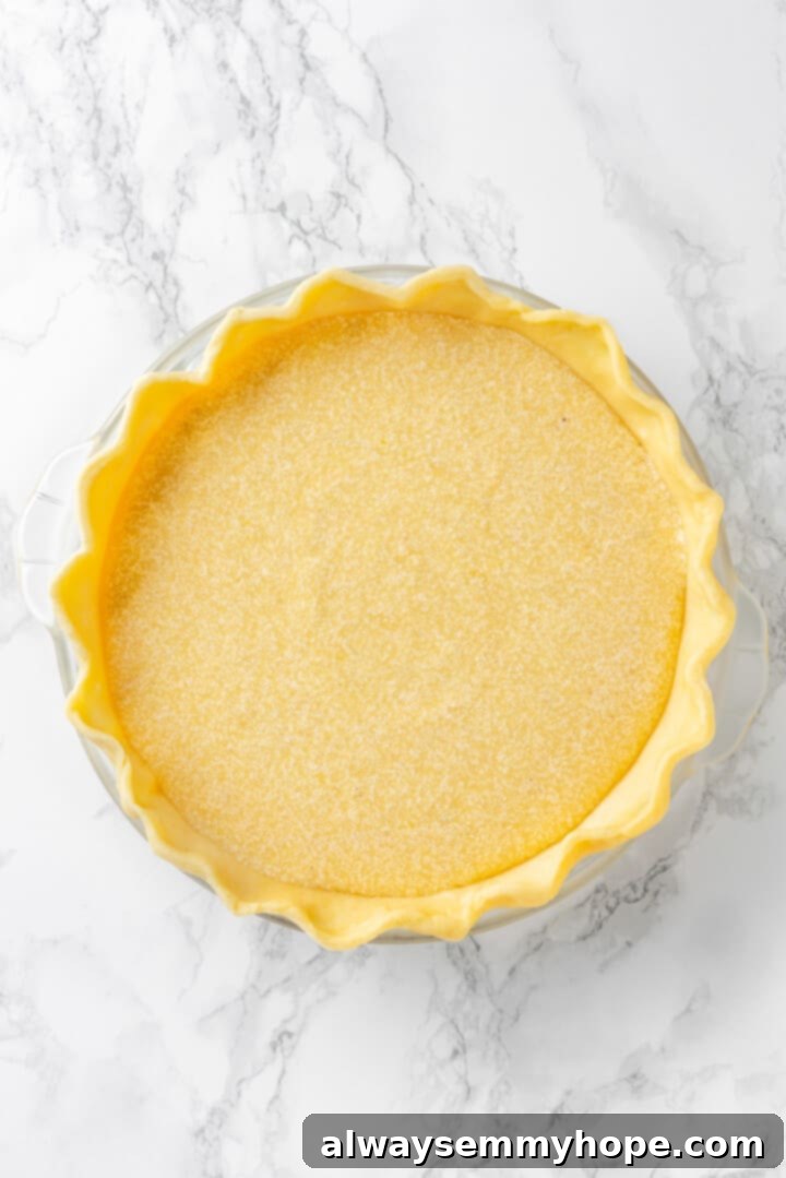 Overhead view of vegan buttermilk pie before baking