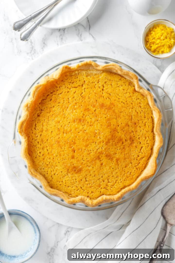 Overhead view of vegan buttermilk pie before adding whipped cream