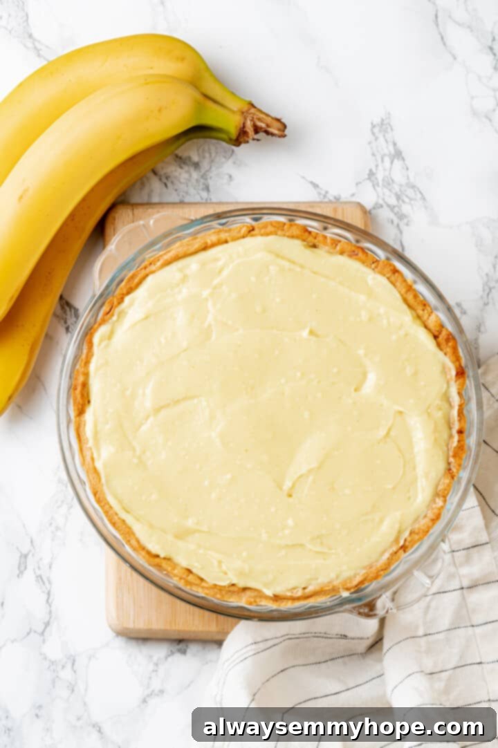 Overhead view of the banana cream pie assembled with the cream filling, before adding the whipped topping.
