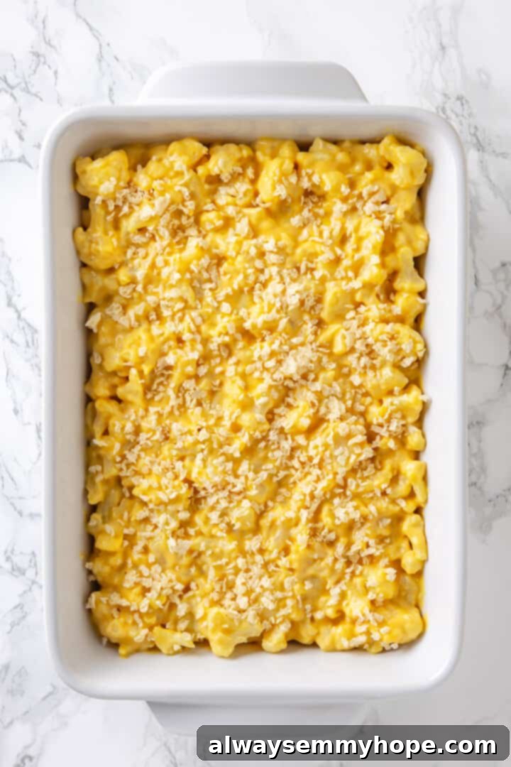 Overhead shot of vegan cauliflower mac and cheese in a baking dish, topped with crispy panko breadcrumbs, ready for the oven.