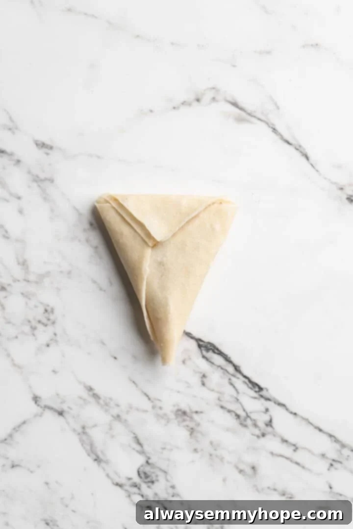 Overhead view of folded sambusa on marble board