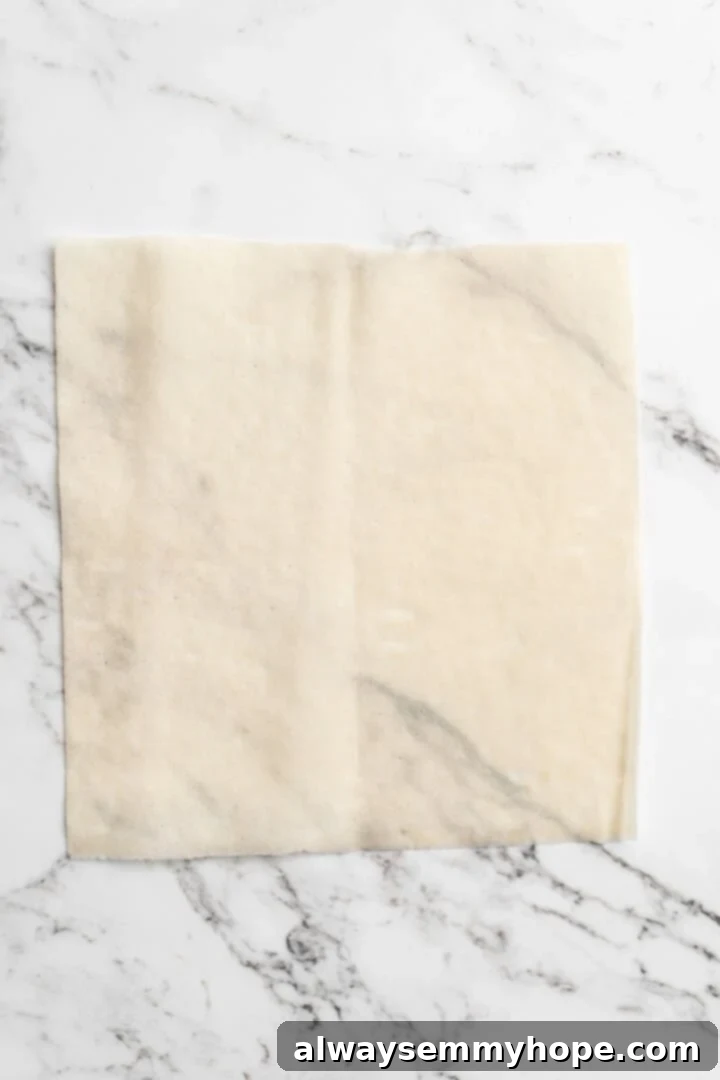 Overhead view of egg roll wrapper for sambusa