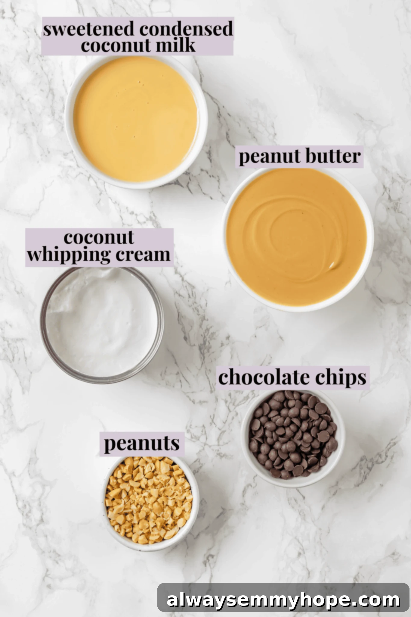 An overhead view of all the essential ingredients laid out for making no-churn vegan peanut butter ice cream, complete with clear labels for easy identification.