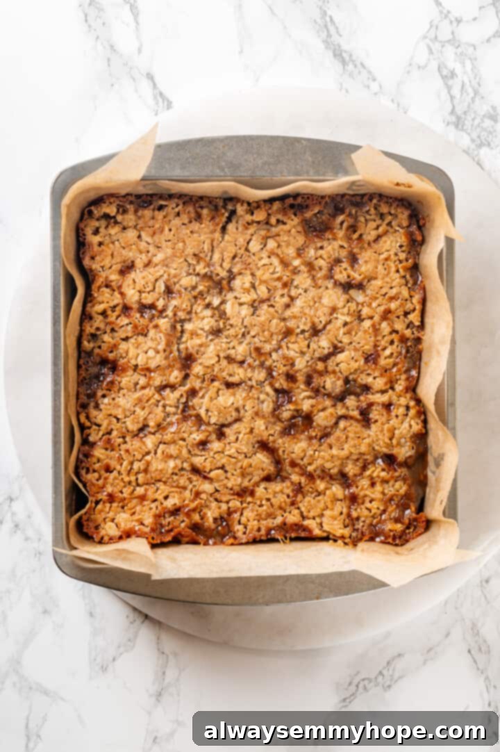Freshly Baked Vegan Carmelitas in Pan Overhead view of baked vegan carmelitas in the parchment-lined pan, golden and bubbly