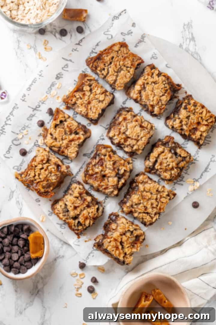 Perfectly Sliced Vegan Carmelitas Overhead view of cut vegan carmelita squares arranged on parchment paper