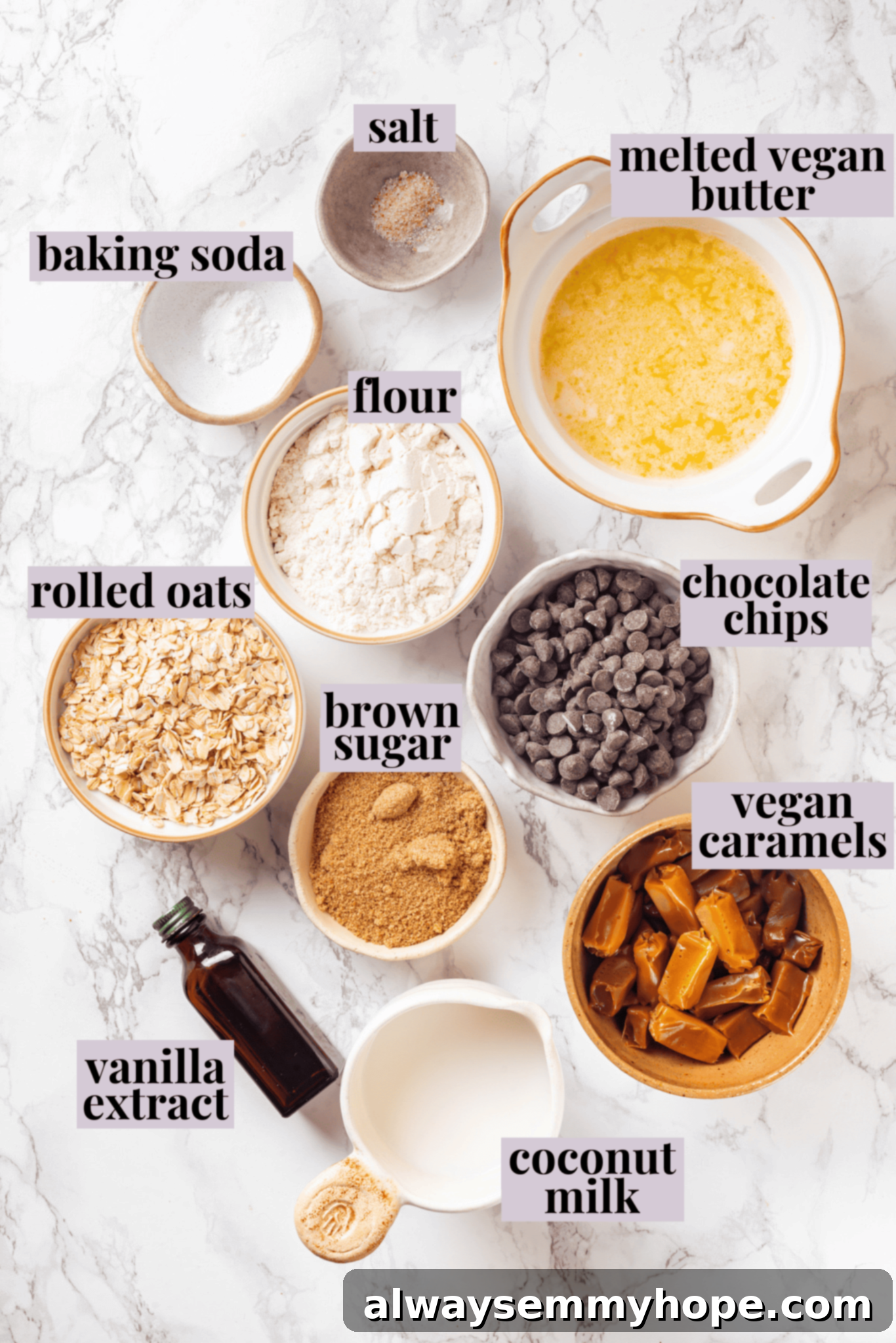 Essential Ingredients for Vegan Carmelitas Overhead view of all ingredients for vegan carmelitas laid out with labels, including vegan caramels, coconut milk, oats, chocolate chips, and baking essentials.