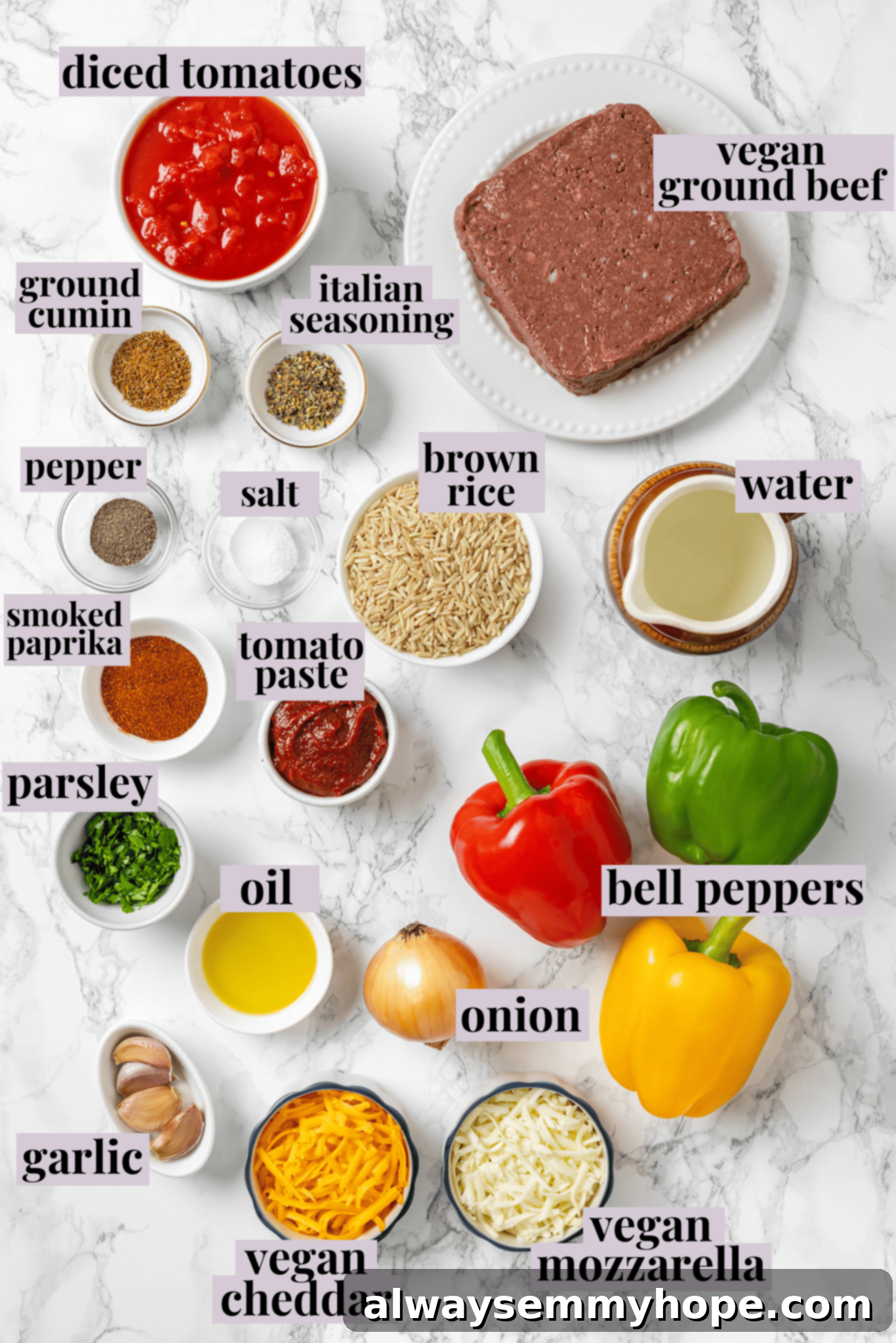 Labeled ingredients laid out for making vegan stuffed pepper casserole. Overhead view of ingredients for vegan stuffed peppers with labels