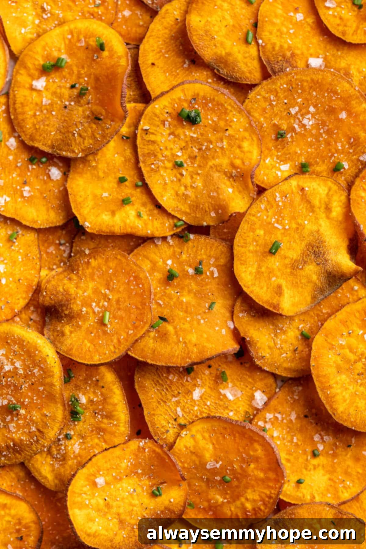 Once you start eating these crispy homemade sweet potato chips, you won’t be able to stop! Super easy to make with only 3 ingredients. Overhead view of crispy sweet potato chips with flaky sea salt and fresh chives