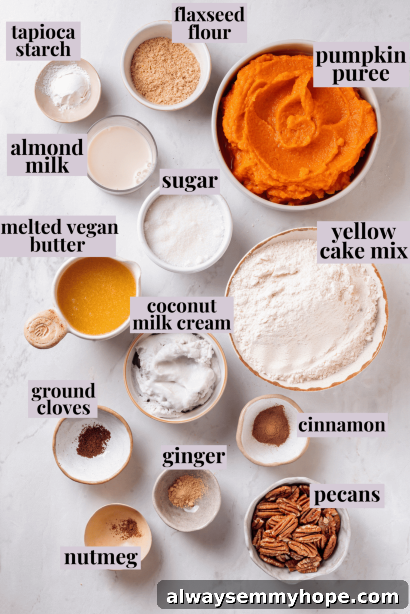 Full of cozy spices, super moist, and studded with toasted pecans, this easy vegan pumpkin dump cake can be whipped up in no time at all! Overhead view of ingredients for pumpkin dump cake with labels, including flax egg, pumpkin puree, spices, cake mix, and pecans.