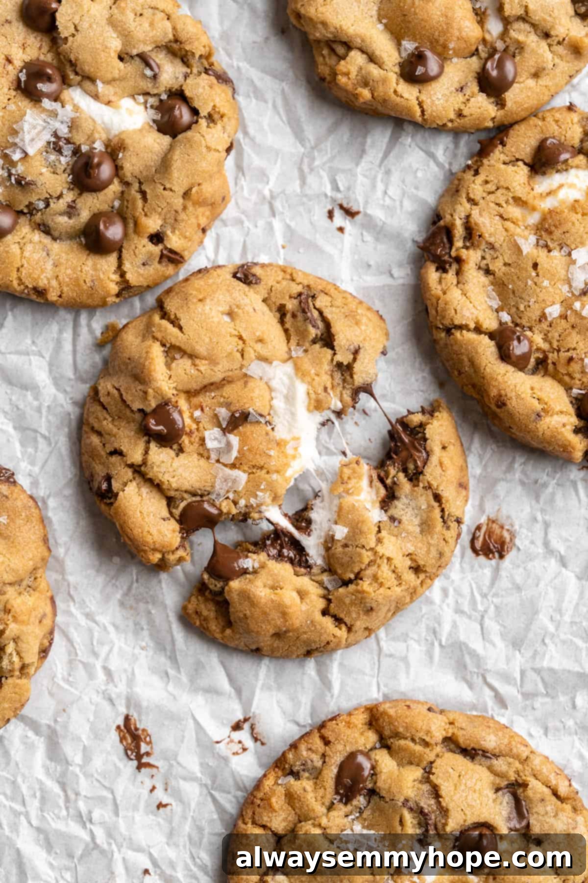 Thick, chewy, and loaded with chocolate, graham crackers, and marshmallows, this one-bowl s'mores cookie recipe is a guaranteed hit! S'mores cookie pulled apart to show gooey marshmallow inside, highlighting its soft, chewy texture and melted chocolate.
