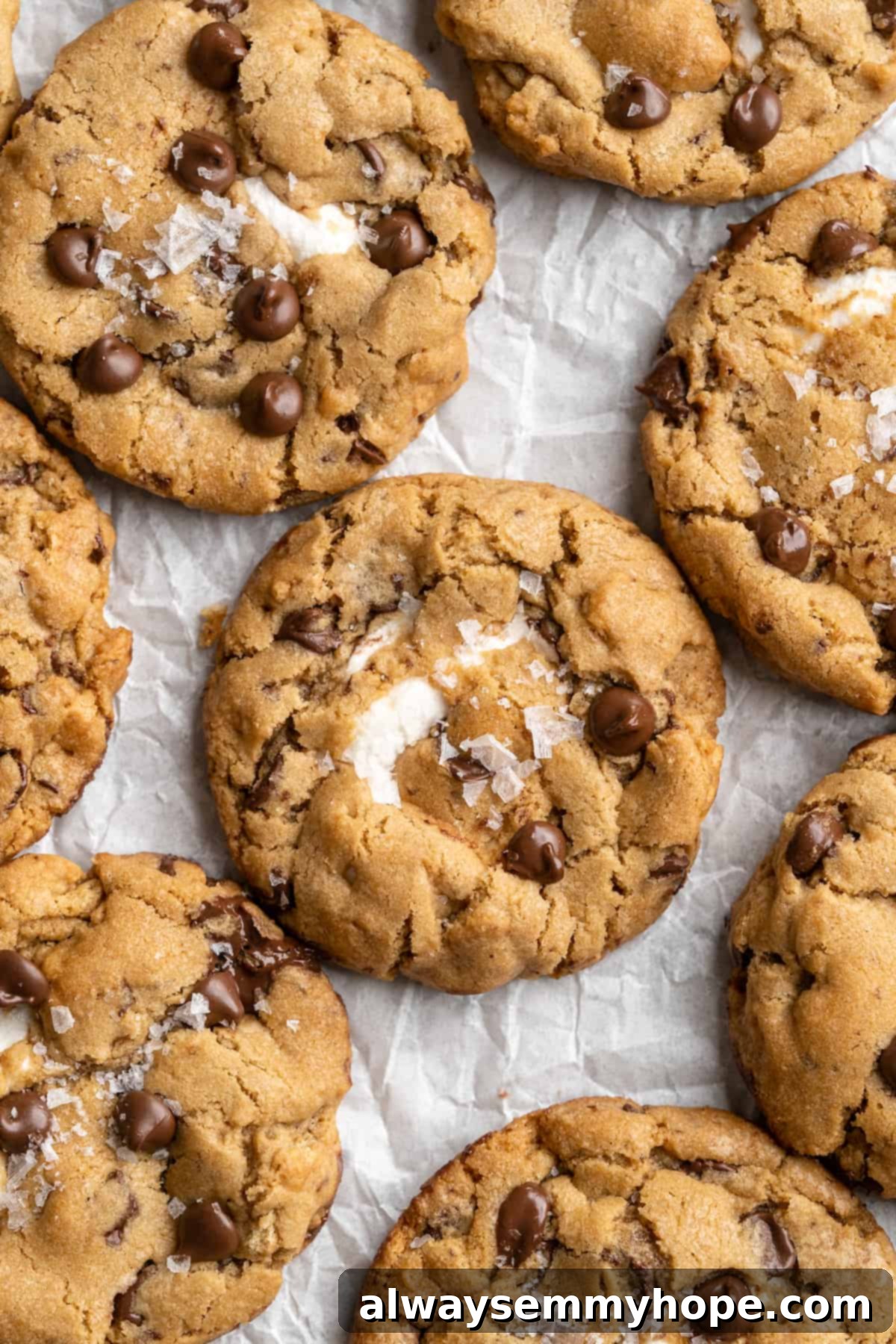 Thick, chewy, and loaded with chocolate, graham crackers, and marshmallows, this one-bowl s'mores cookie recipe is a guaranteed hit! Overhead view of warm, freshly baked vegan s'mores cookies on parchment paper, ready to be enjoyed, showing their perfectly toasted marshmallows and rich chocolate.