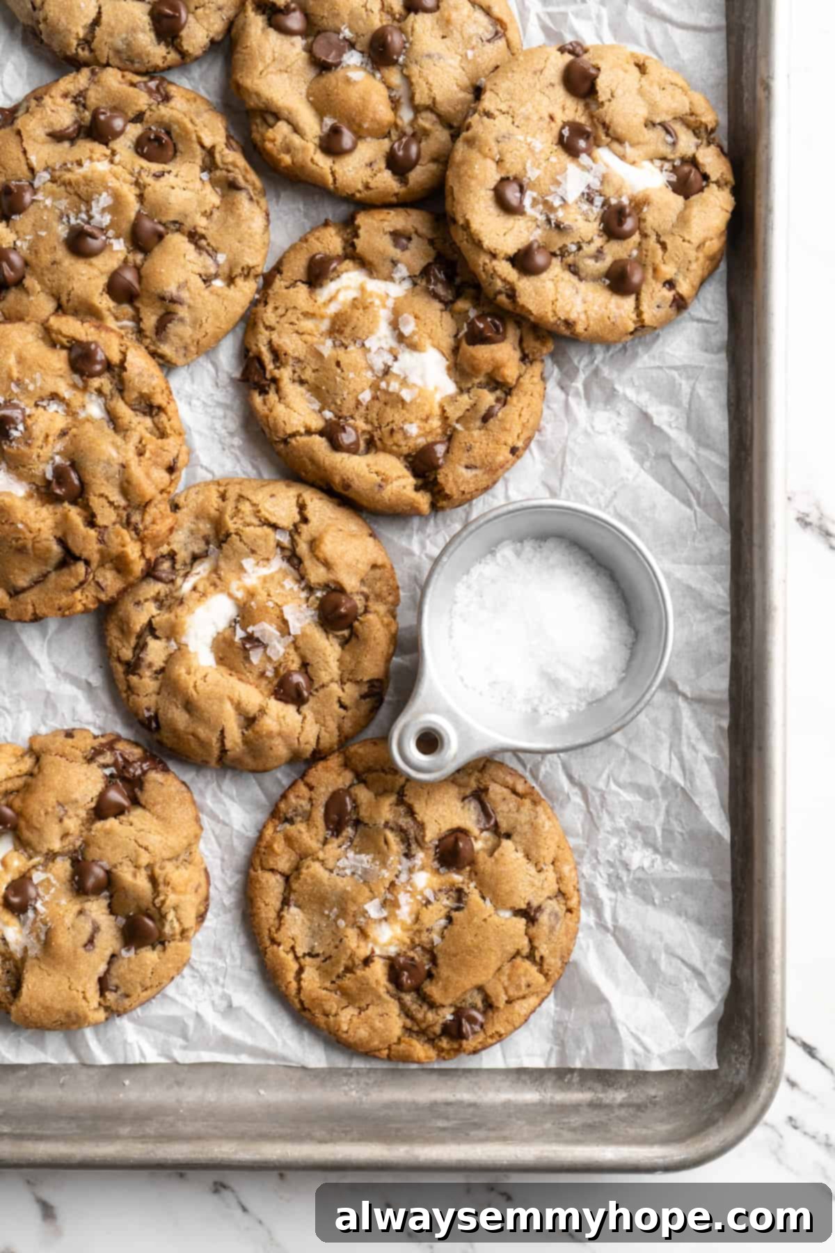 Thick, chewy, and loaded with chocolate, graham crackers, and marshmallows, this one-bowl s'mores cookie recipe is a guaranteed hit! Overhead view of vegan s'mores cookies on a baking sheet, with a small cup of flaky sea salt on the side, suggesting a sweet and salty variation.