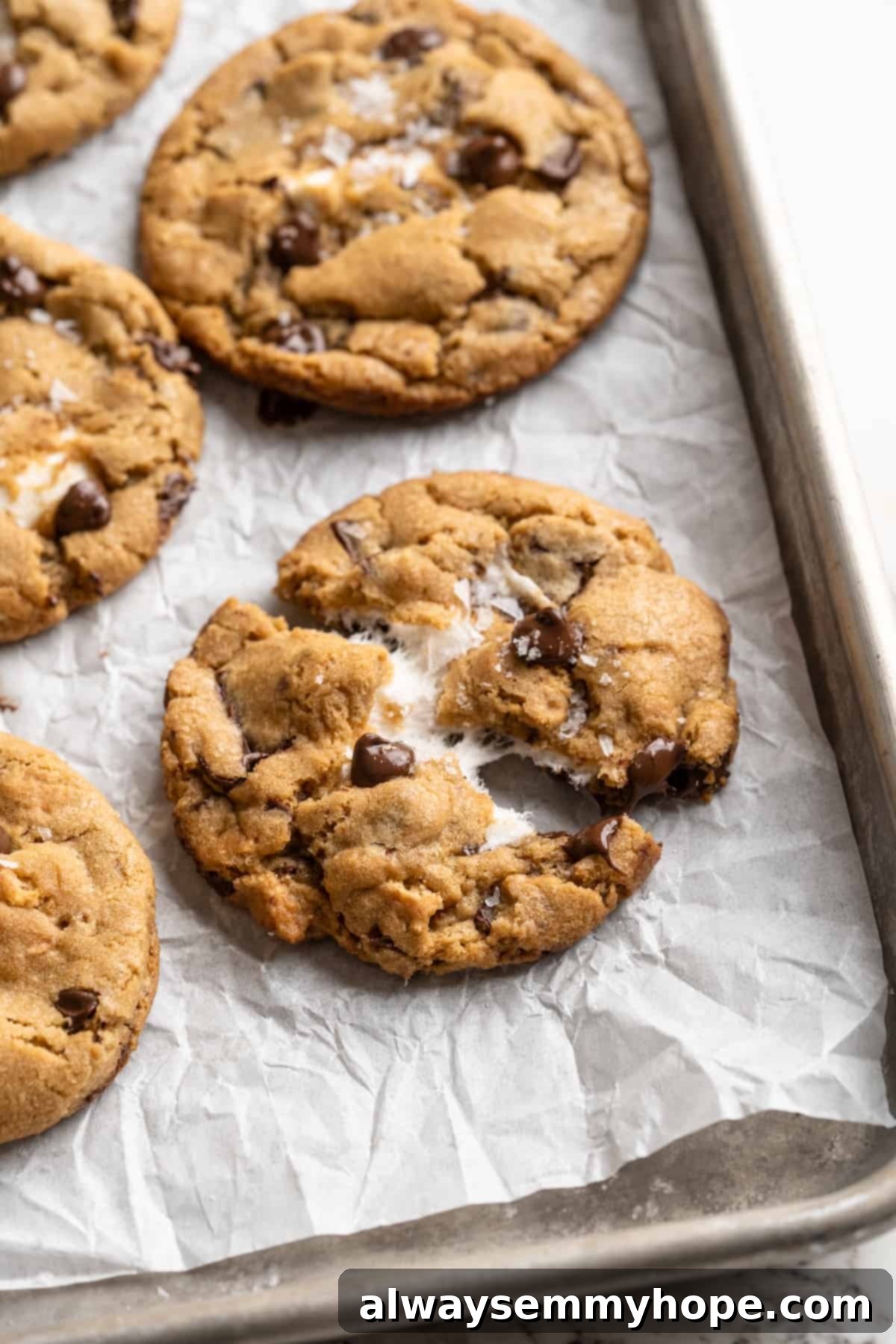 Thick, chewy, and loaded with chocolate, graham crackers, and marshmallows, this one-bowl s'mores cookie recipe is a guaranteed hit! A vegan s'mores cookie pulled apart, showing the deliciously gooey, melted marshmallow center and pockets of chocolate.