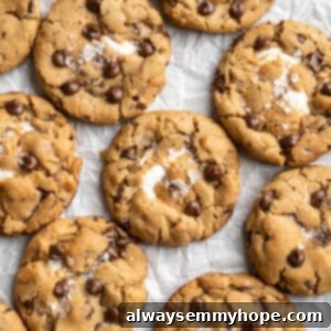 Fireside Smores Cookies 2 Overhead view of vegan s'mores cookies on parchment paper, golden and gooey.