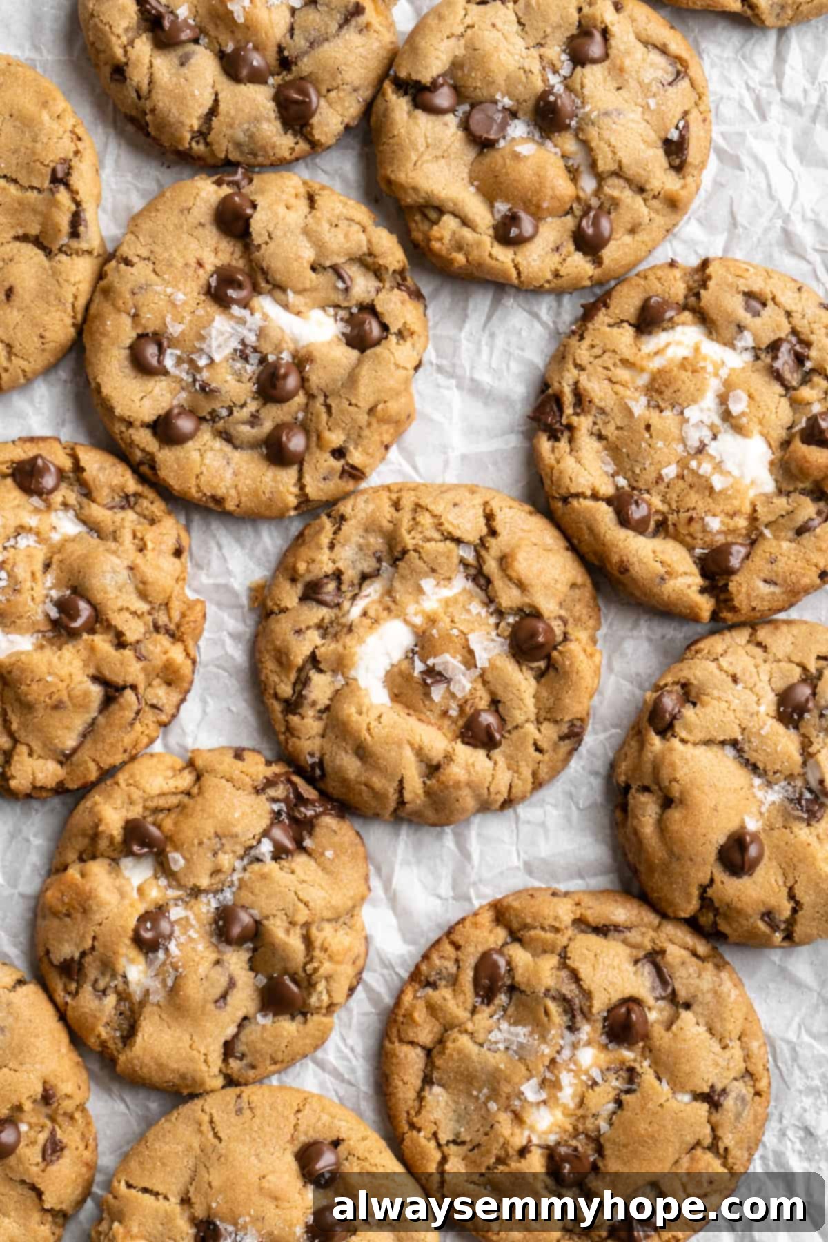 Thick, chewy, and loaded with chocolate, graham crackers, and marshmallows, this one-bowl s'mores cookie recipe is a guaranteed hit! Overhead view of freshly baked vegan s'mores cookies cooling on parchment paper, showcasing their golden edges and melty toppings.