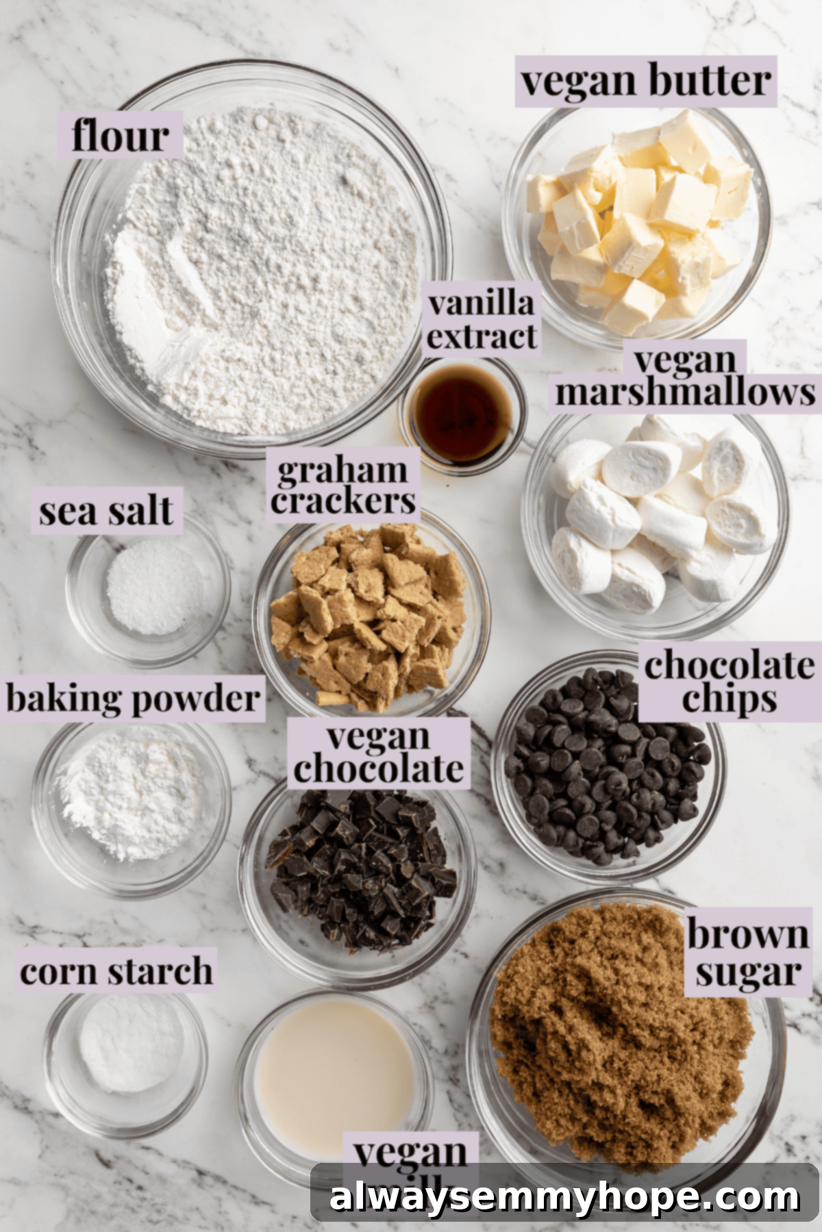 Thick, chewy, and loaded with chocolate, graham crackers, and marshmallows, this one-bowl s'mores cookie recipe is a guaranteed hit! Overhead view of all individual ingredients laid out and labeled for s'mores cookies, including vegan butter, brown sugar, flour, chocolate, graham crackers, and marshmallows.