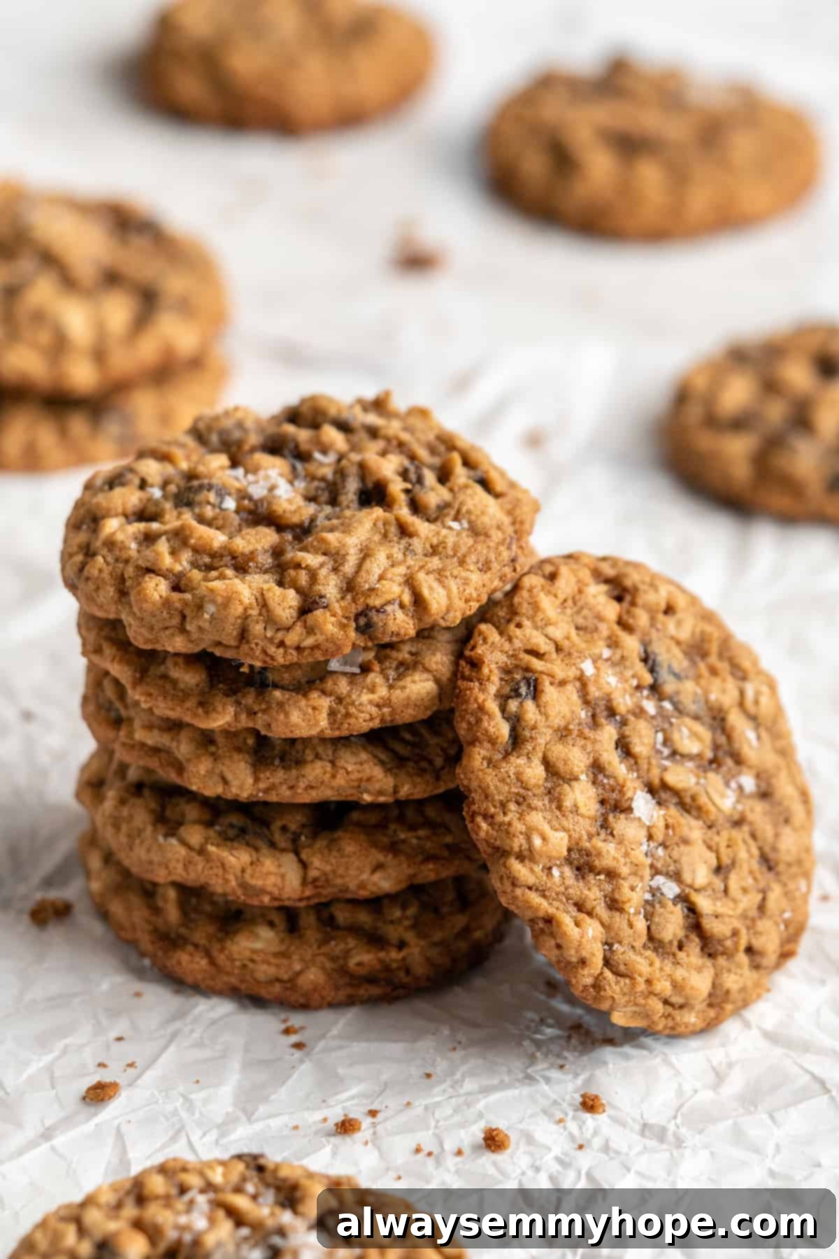 Stack of vegan oatmeal cookies with one cookie leaning against stack, showing texture