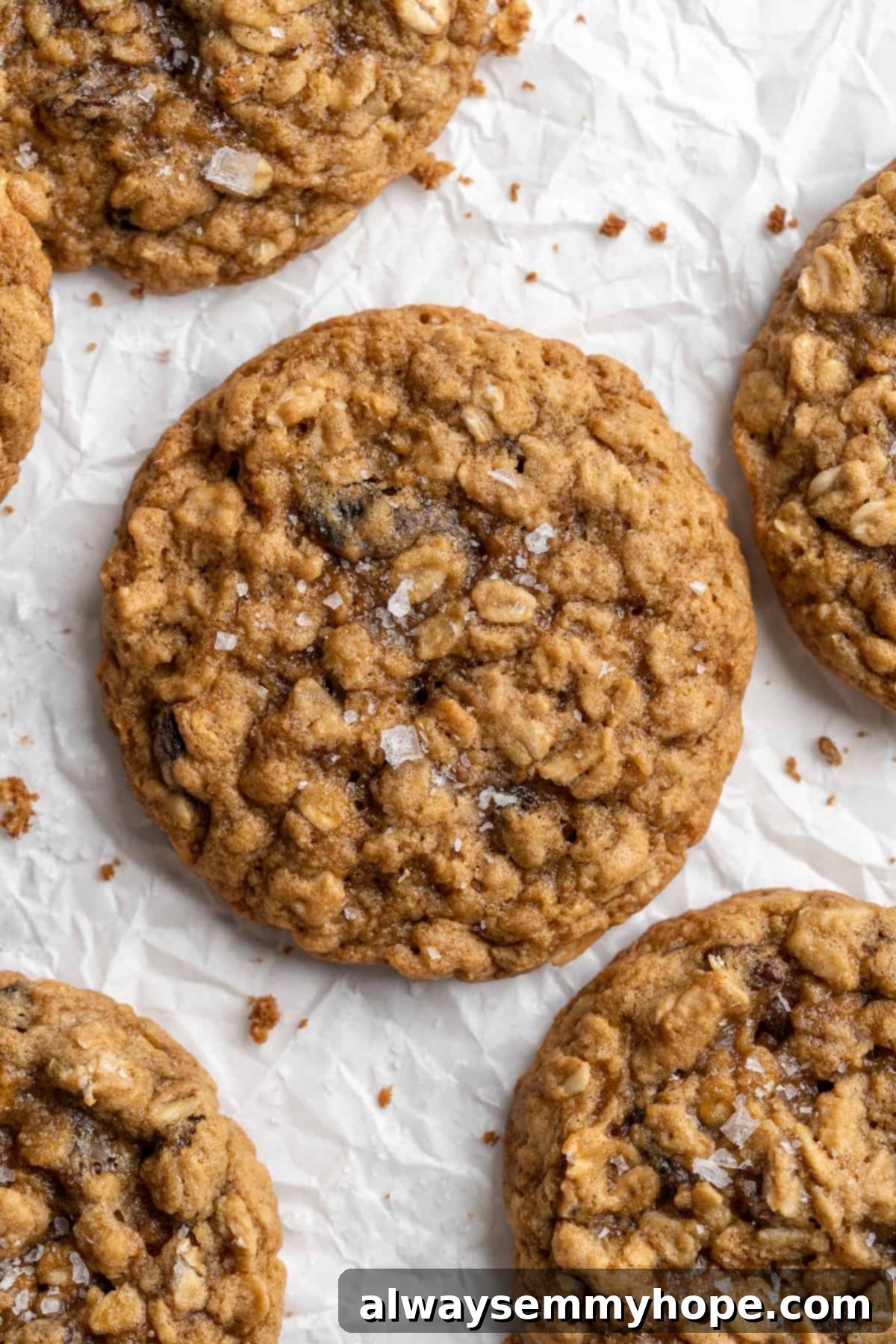 Overhead view of vegan oatmeal raisin cookies beautifully arranged on parchment paper