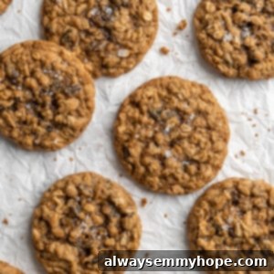 Overhead view of vegan oatmeal cookies on parchment paper